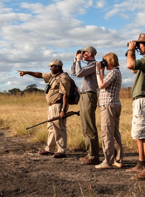 Mount Kilimanjaro climbing tours