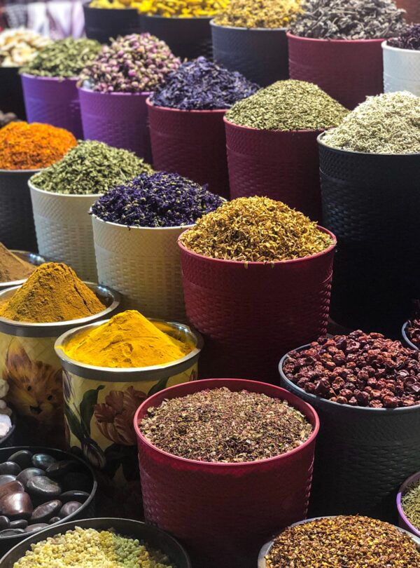 Tanzania adventure camping safari