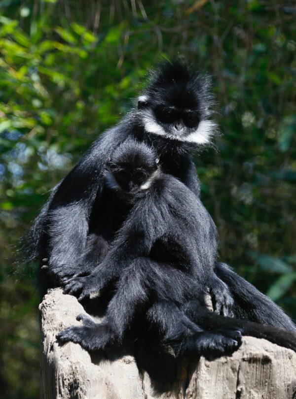 adventure camping safaris in Tanzania