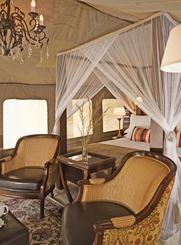 Explore Tanzania with Our Tours and Safaris Packages