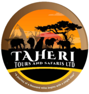 best safari companies in Tanzania