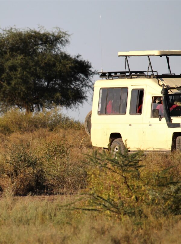 best safari companies in Tanzania
