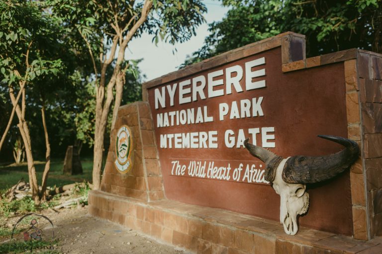 Untouched Tanzania: Secret Safari Destinations You Must Visit