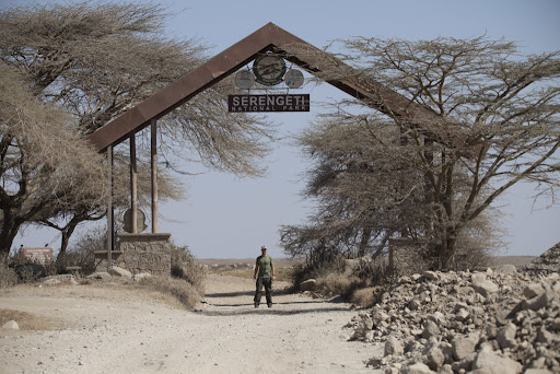 The Serengeti’s Ancient Trails: Prehistoric Paths Still Used by Modern Animals