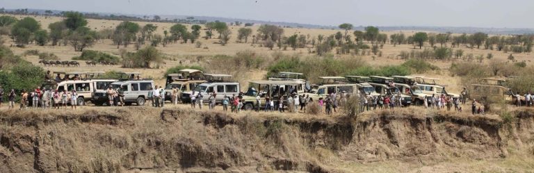 From the USA to the Serengeti: Best Time to Visit Tanzania for a Safari