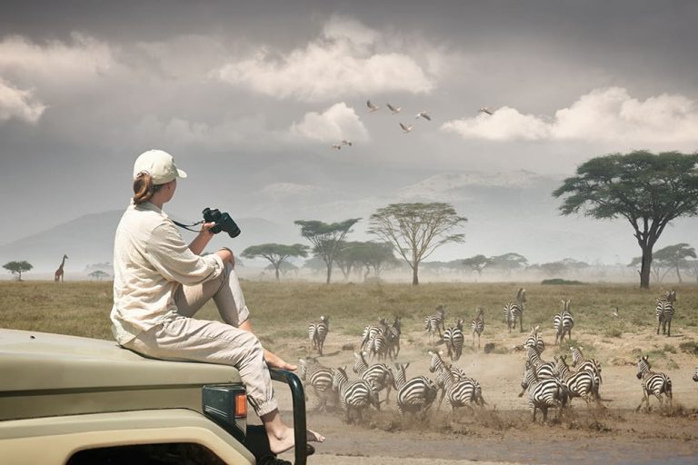 🌍 Top 10 Reasons Why US Travelers Are Choosing Serengeti Safaris in 2025