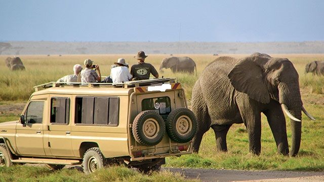 🌍 The Ultimate Guide to Visiting Serengeti National Park from the US
